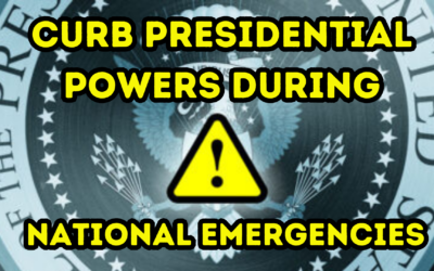 Curb Presidential Powers During National Emergencies