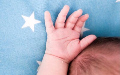 Should Pro-Life Amendments Be Added To State Constitutions?