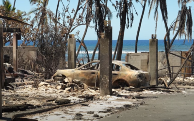 What is your view on FEMA personnel staying in luxury hotels while engaged in the recovery efforts of the Lahaina wildfire?