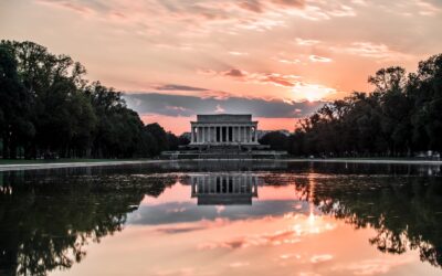 What Is The Most Effective Way To Curb Rising Violence In D.C.?