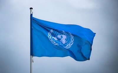 Do you believe the UN and WHO are using the pandemic declaration as a cover to push pro-abortion measures and control speech?