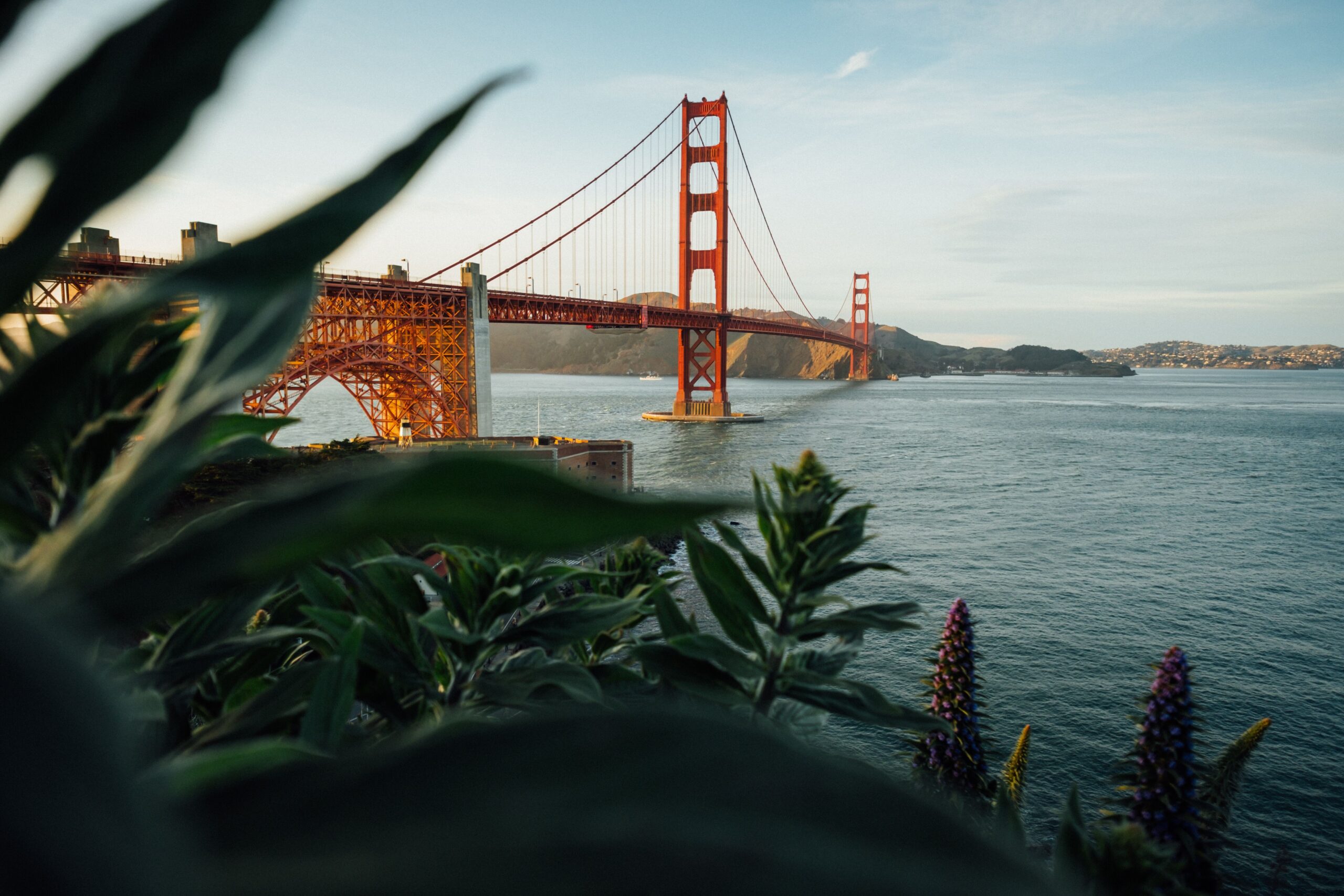 tim-foster-o4mp43opghk-unsplash