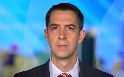 What is your stance on Rep. Tom Cotton’s call for deportation?