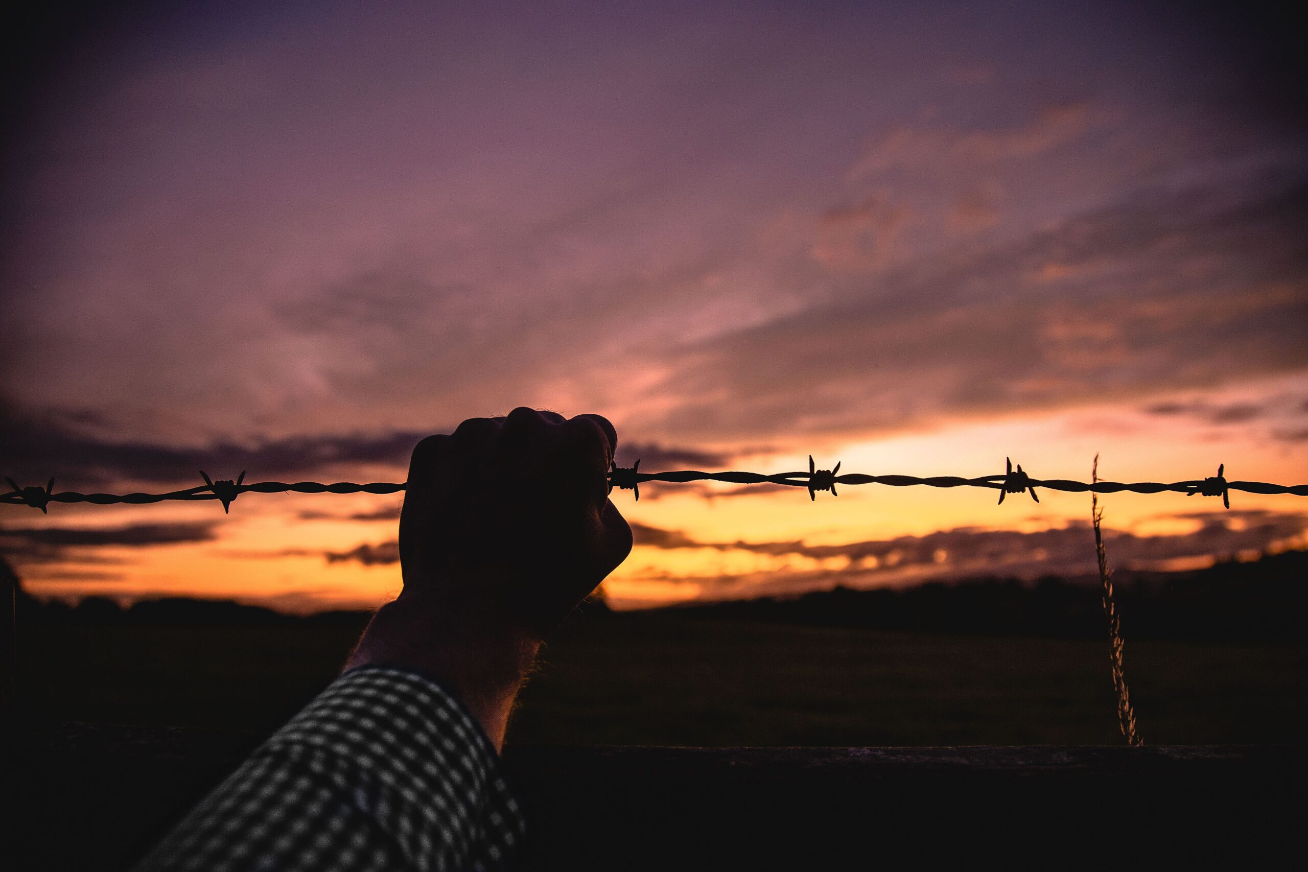 luke-besley-0354sXvGdqA-unsplash (1)