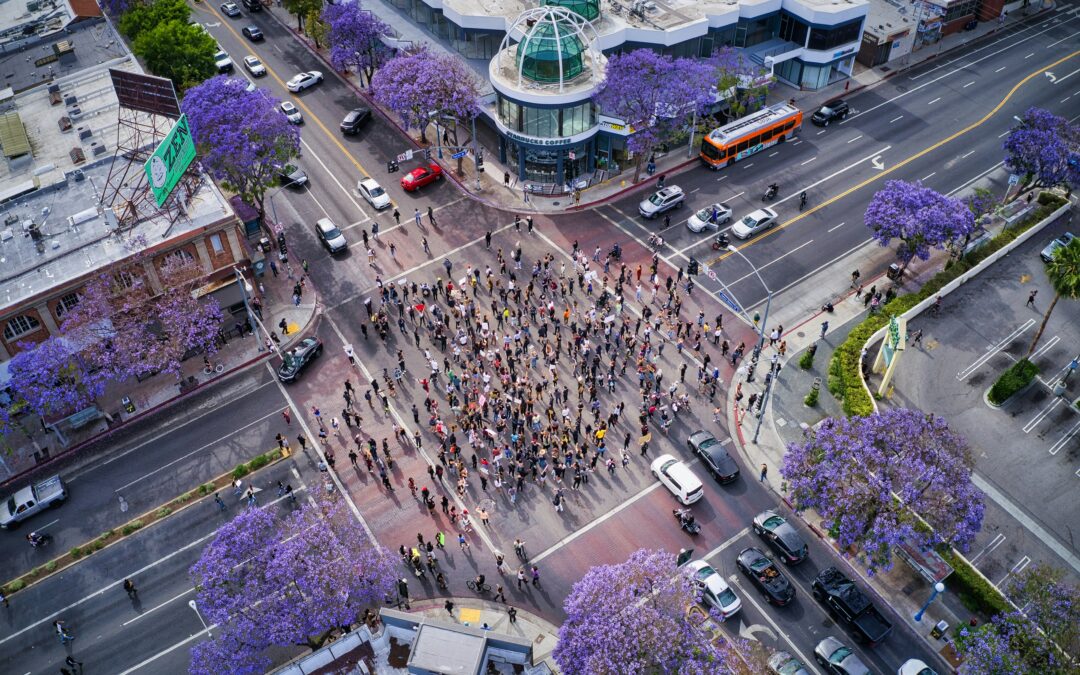 Have You Participated in Any Social Justice Protests or Movements?