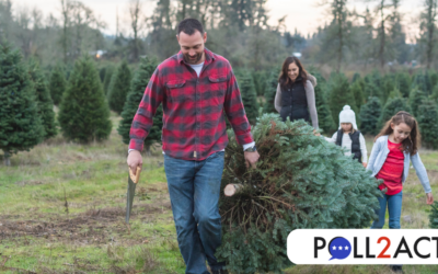 Couple Plant Christmas Trees To Cover College Fund