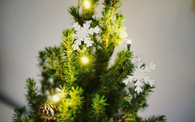 Do You Enjoy the Scent Of Pine Or Christmas Trees?