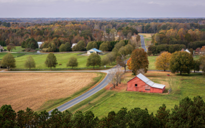 Farming Shift Could Cut Food Prices Across US