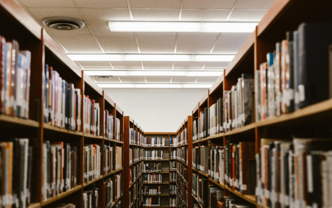 Should age verification systems be present in all public & school libraries?