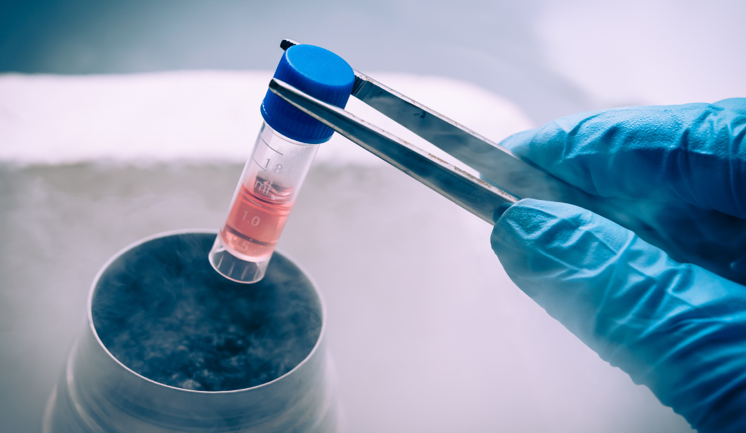 Florida Moves Forward On Stem Cell Treatment Therapies