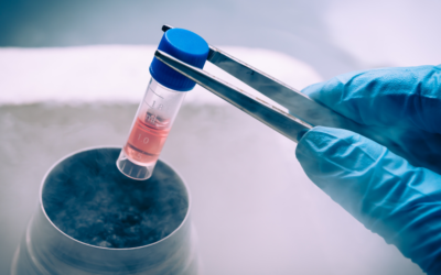 Florida Moves Forward On Stem Cell Treatment Therapies