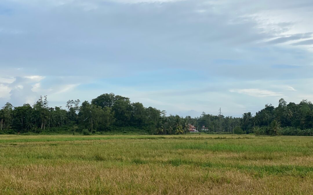 Do you own land?