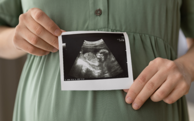 Montana Takes Huge Step To Protect Pro-Life Pregnancy Centers