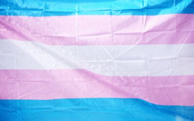 Should Children Be Mutilated To Support Their Thoughts About Transgenderism?