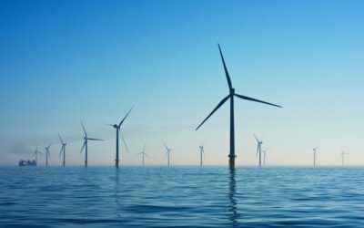 Do You Think Renewable Energy Is The Future?