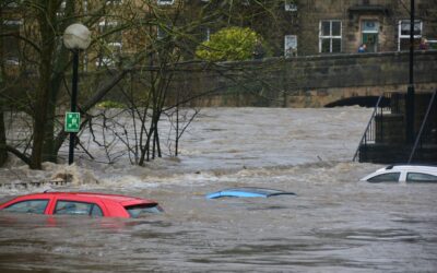 Do you trust the government to save you from a natural disaster?