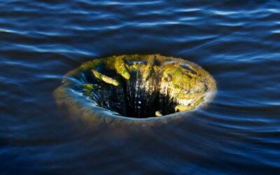 Are you terrified of sinkholes?